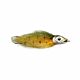 Wurm Intruder Streamer 3D Head Grayling | 3D Print Predator Streamer