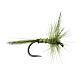 Olive Quill BL