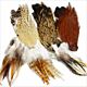 Assortimento Colli & Piume | Capes & Feathers Mixed Pack