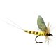Spinner Realistic Wings - Yellow