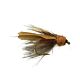 Cinnamon CDC Caddis