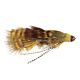 Kellers Dream Catcher Mottled Sculpin - Yellow