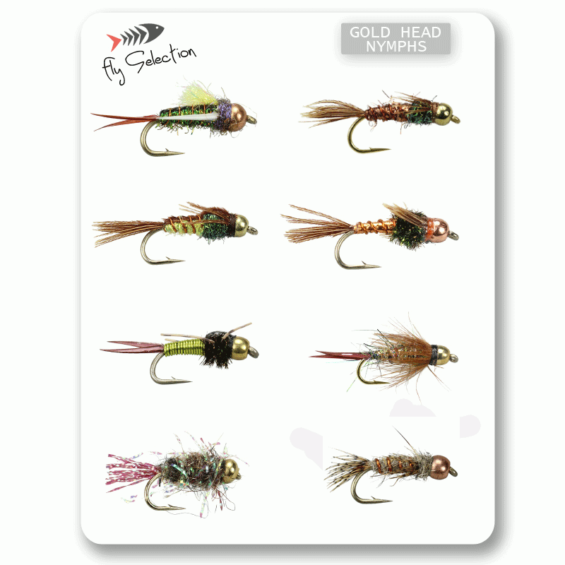Fly Selection Bead Head Nymph Mod.01