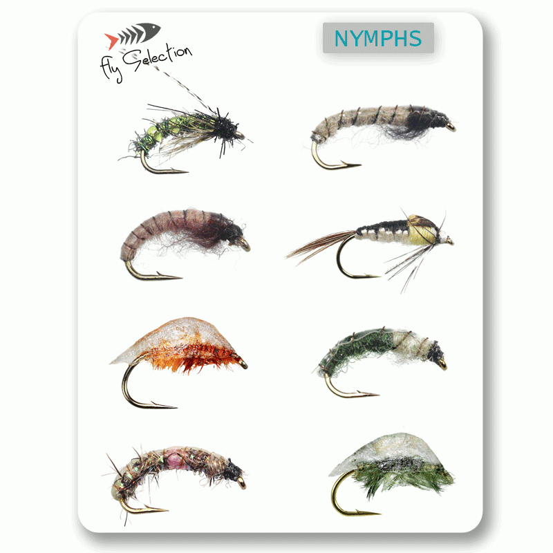 Montana Fly River Camo Rainbow Trout “2 in 1“